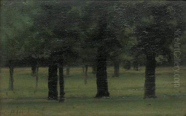 Study Of Trees In Kensington Gardens - view 1