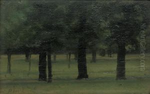 Study Of Trees In Kensington Gardens by Paul Fordyce Maitland