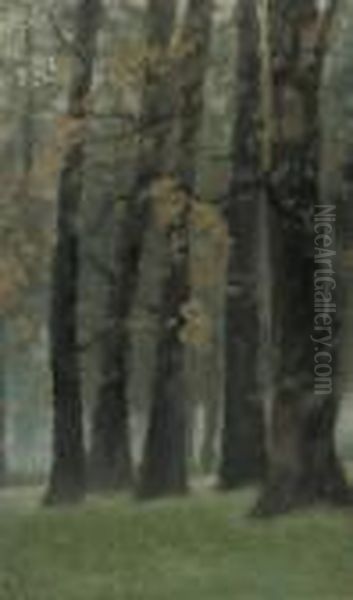 Clump Of Trees, Twilight, Kensington Gardens - view 1