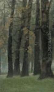 Clump Of Trees, Twilight, Kensington Gardens