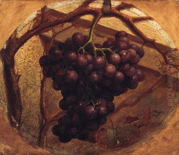 A Bunch Of Grapes Hanging From A Vine - view 1