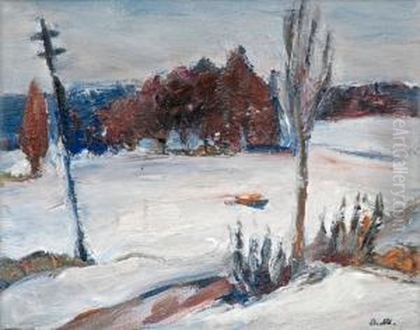 Winter Landscape - view 1