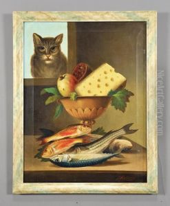 Avido Pensiero Delgatto by Francesco Malacrea