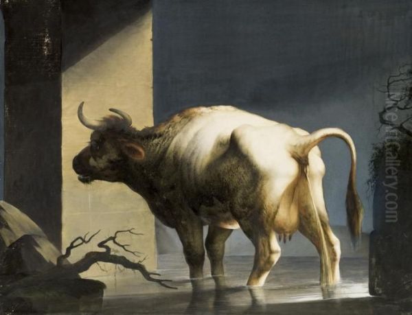 A Cow Passing Water - view 1