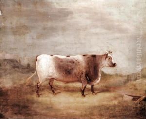 Wildeyes, A Prize Short Horned Heifer by William Malbon
