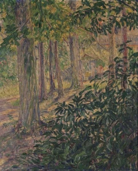 "sous Bois" - view 1