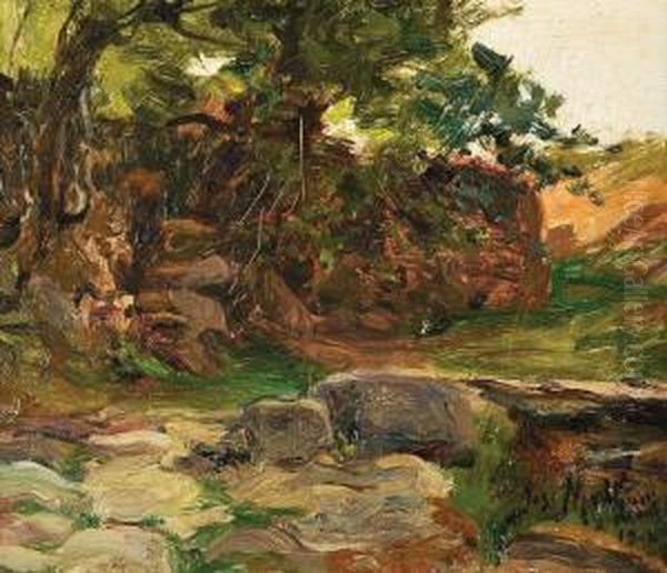Paisagem - view 1