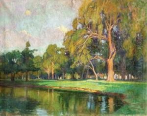 Quietud En El Lago (lago Palermo)