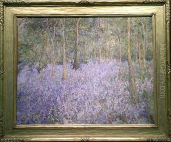 Wild Hyacinths - view 1