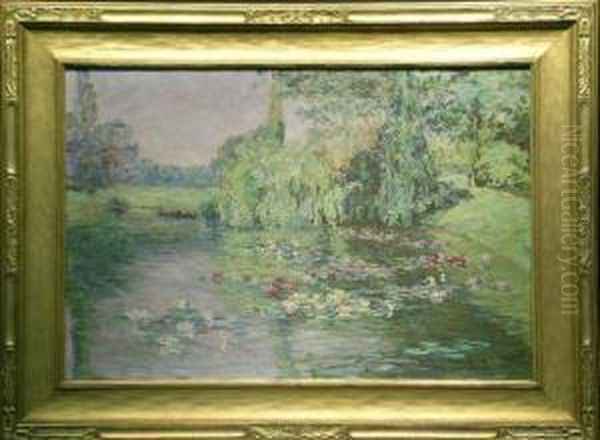 Lily Pond - view 1