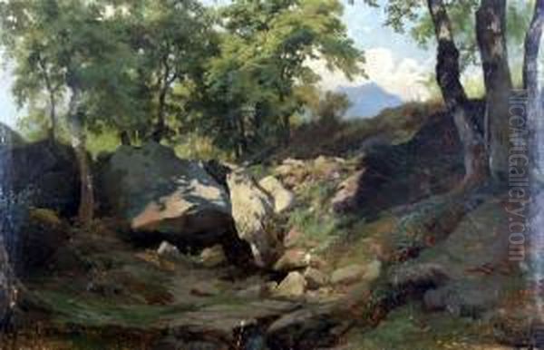 Paesaggio - view 1