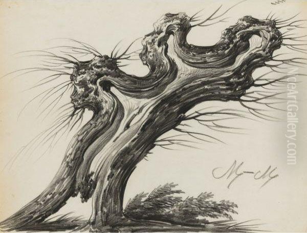 Study Of A Pollarded Tree - view 1