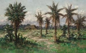 A Palm Grove, Paraquay