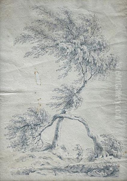 Girl Under The Tree - view 1