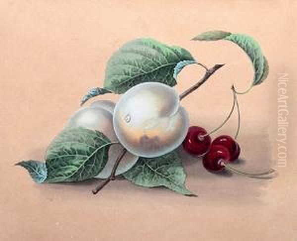 Still-life With Apricots And Cherries - view 1