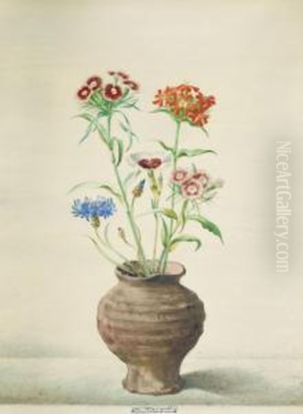 Blumen Imtonkrug - view 1