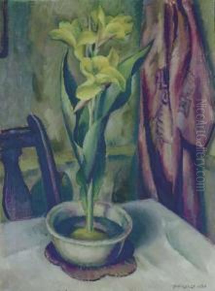 Yellow Calla Lily - view 1