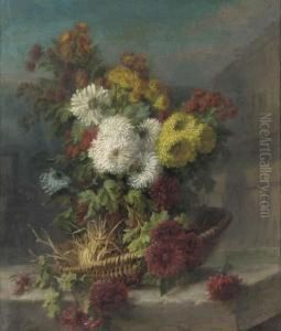 Still Life With Chrysanthemum In A Basket