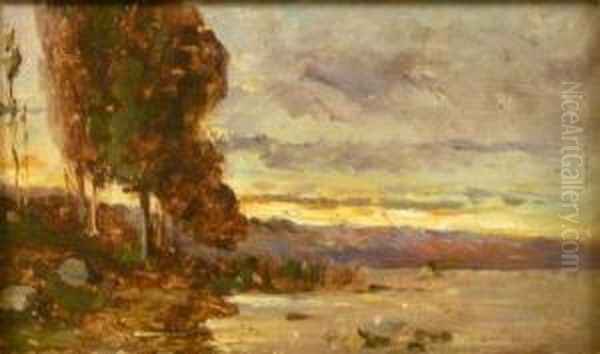 Trees By A Lake - view 1
