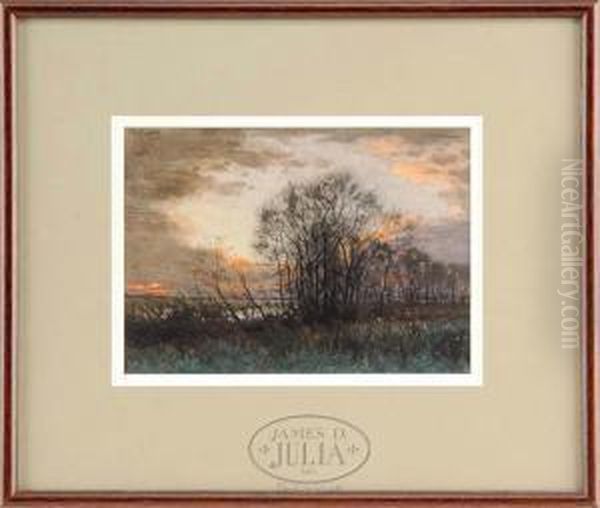 Trees At Twilight - view 1