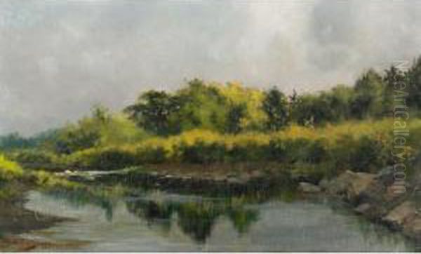 River Landscape - view 1