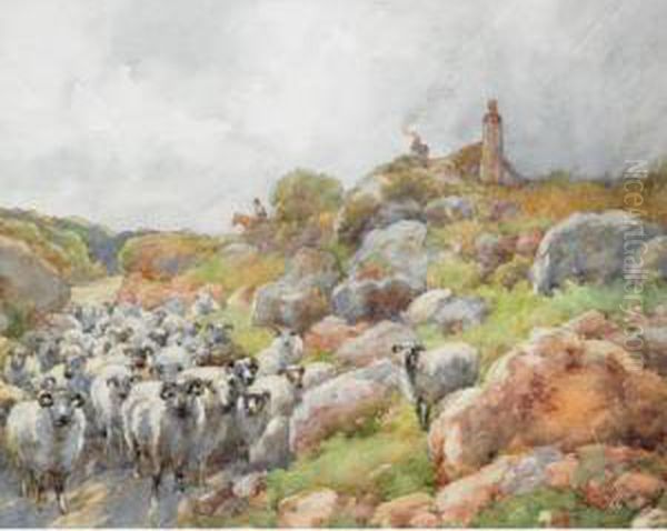 Shepherding - view 1
