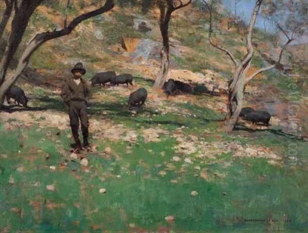 Boy And Black Pigs - view 1