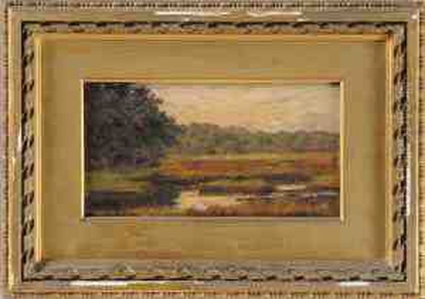 The Marsh - view 1