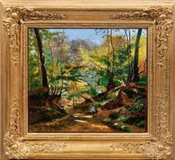 Spatsommerlicher Wald Mitwanderer - view 1