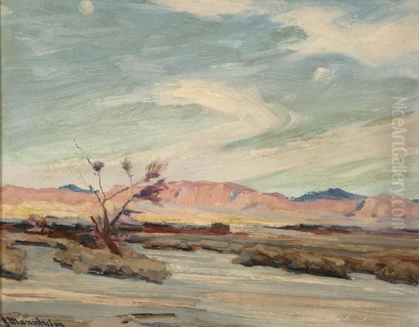 Solitude In The Desert - view 1
