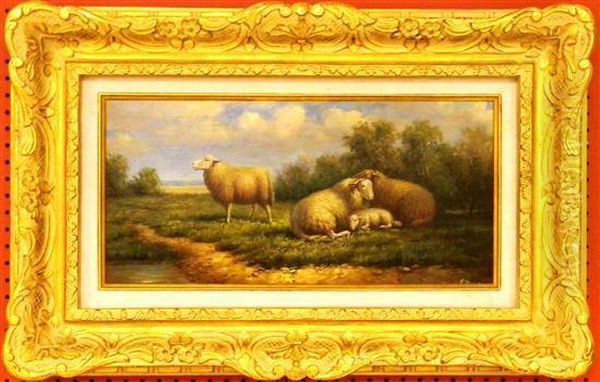 Sheep In Field - view 1