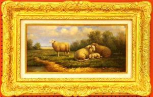 Sheep In Field