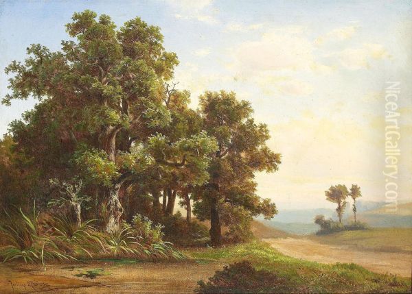 Landskap Med Ekar - view 1
