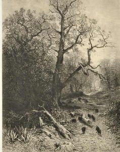 Oak by Julius Eduard Marak
