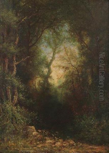 Forest Interior - view 1