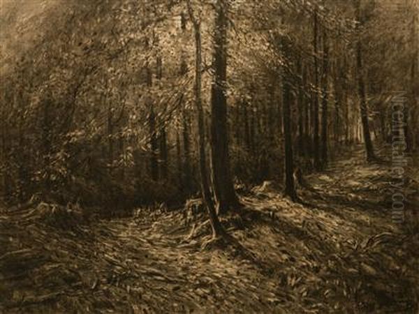 An Afternoon In The Forest - view 1