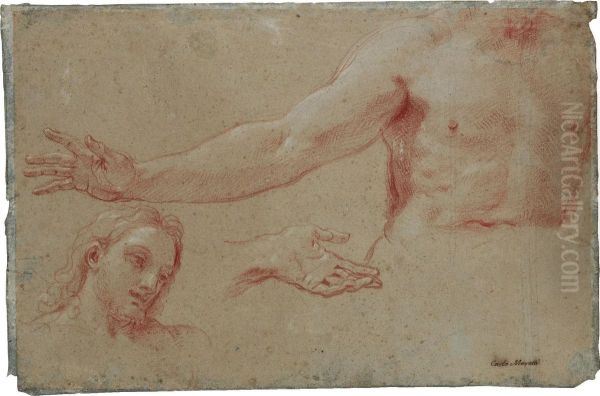 Head, Torso And Hand - view 1