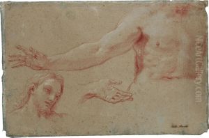 Head, Torso And Hand