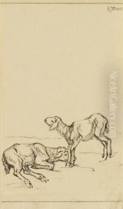 Zwei Lammer Zwei Lammer
