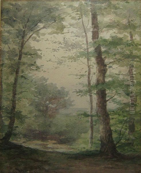 Foret Ensoleillee - view 1