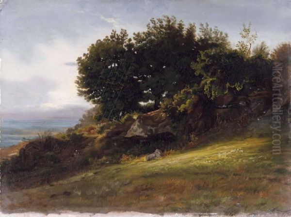 Paesaggio - view 1