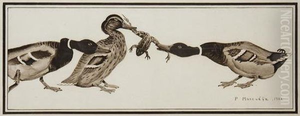 Canards Se Disputant Une Grenouille - view 1