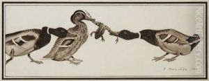 Canards Se Disputant Une Grenouille