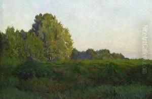 Spring Landscape