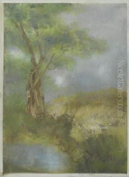 Il Grande Albero - view 1