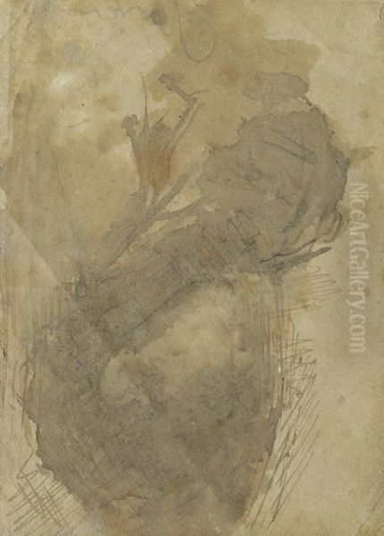Profilo - view 1