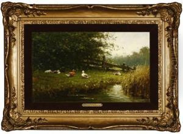 Ducks By The Pond - view 1