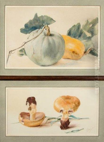 Citrouilles Et Champignons. - view 1
