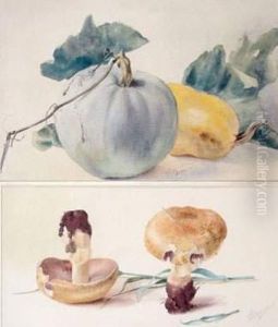 Cucurbitacees Et Champignons Cucurbitacees Et Champignons