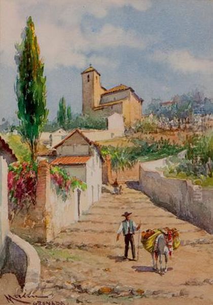 Calle Granadina - view 1